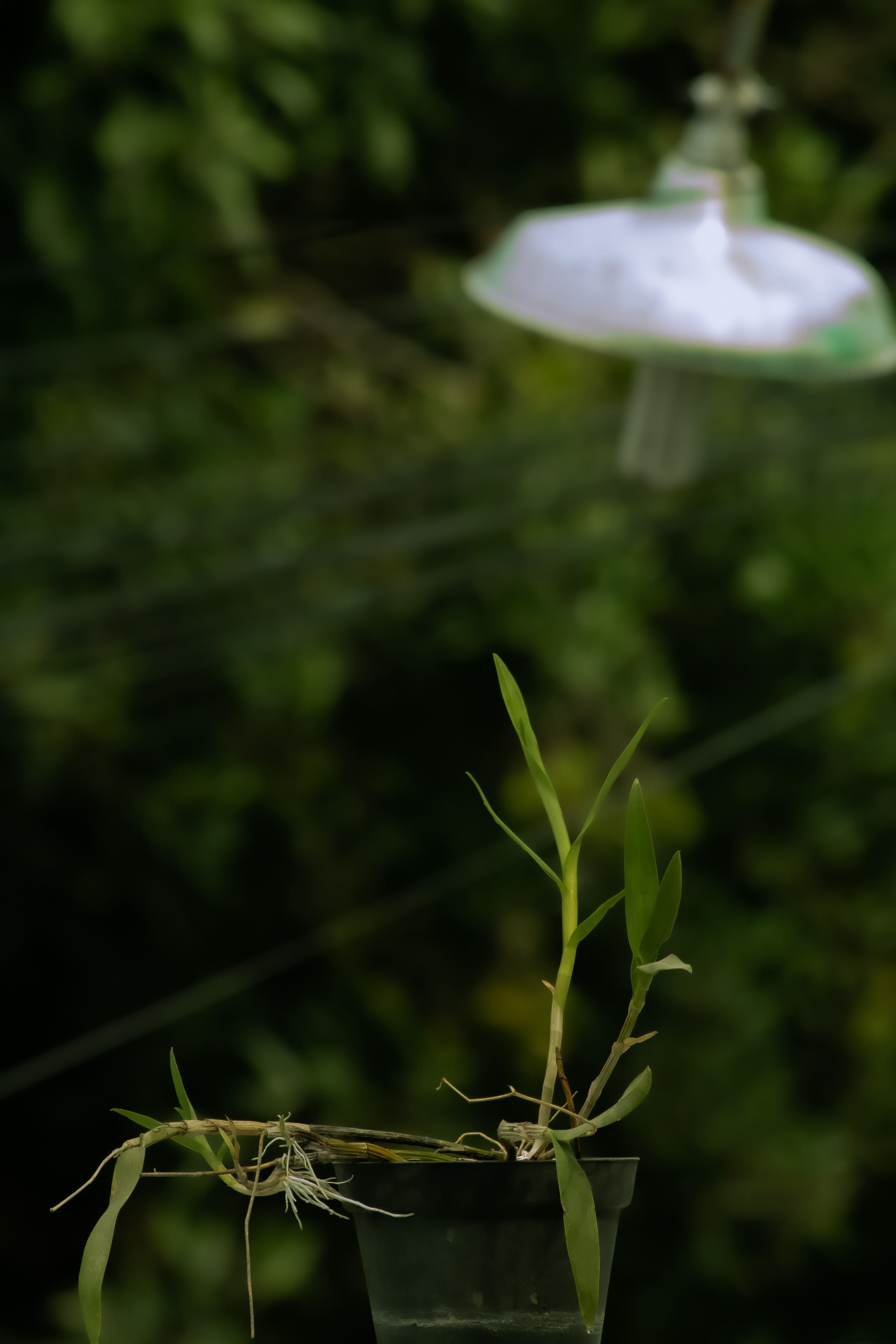 Photography 4