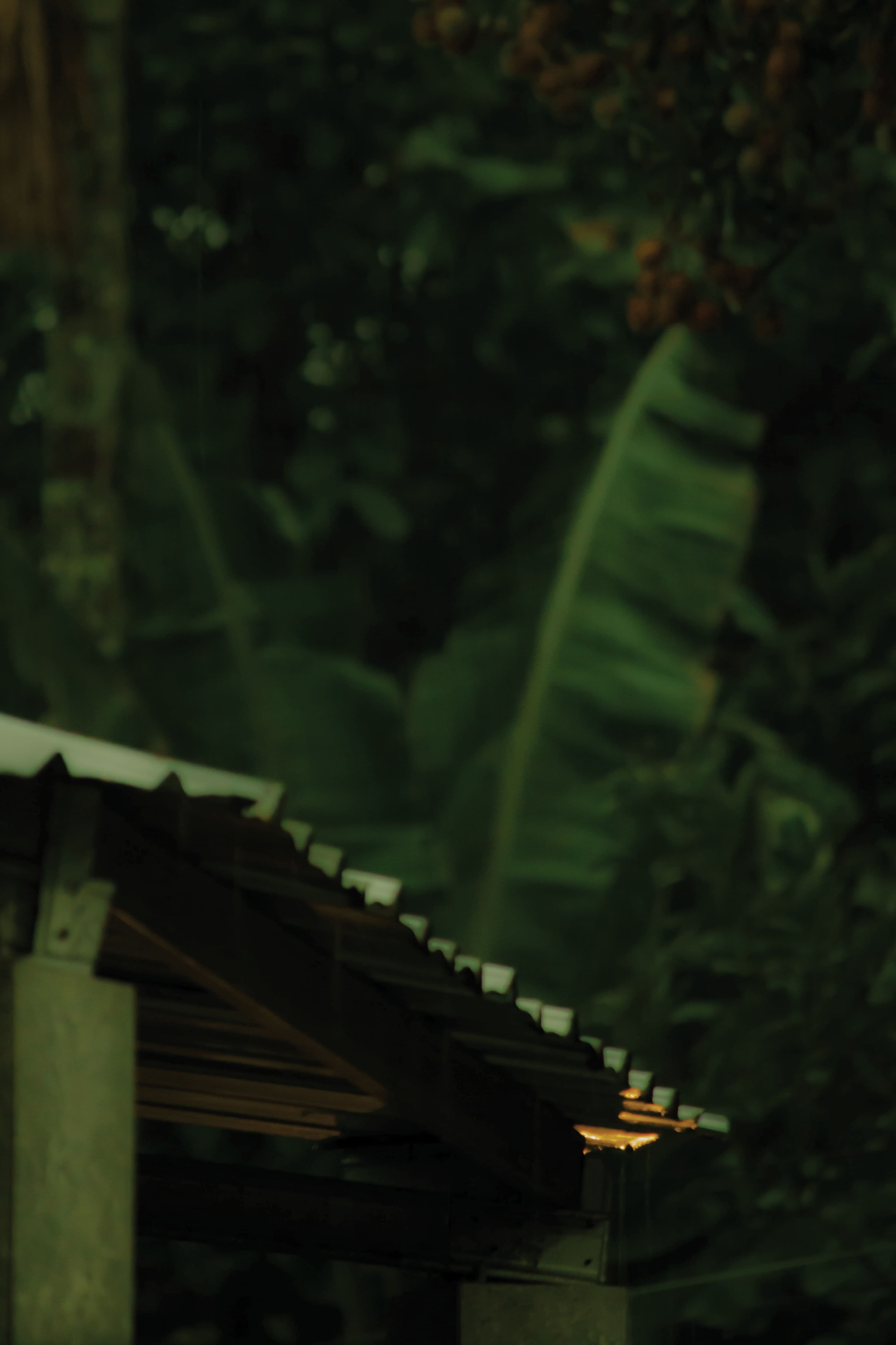 Photography 6