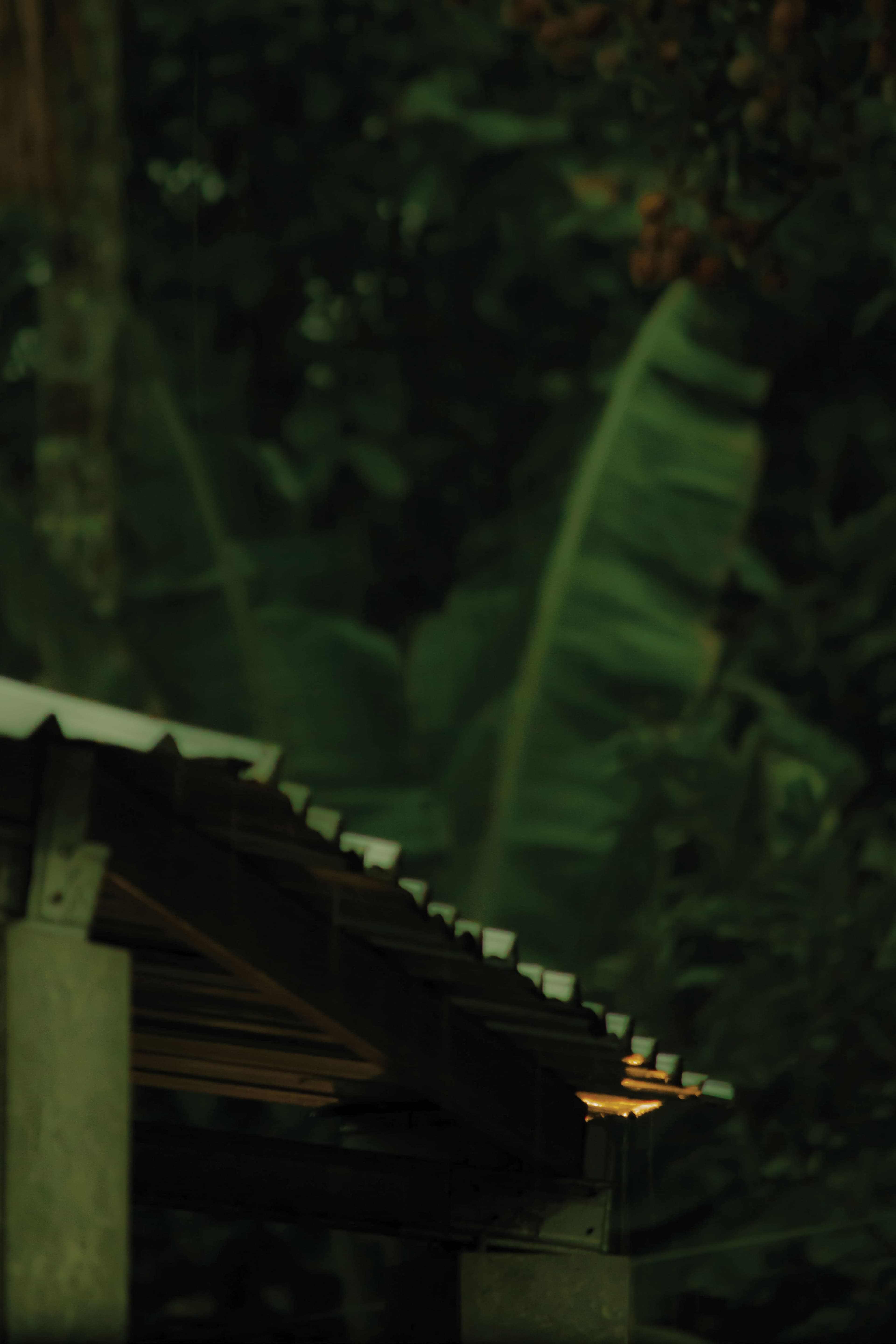 Photography 7